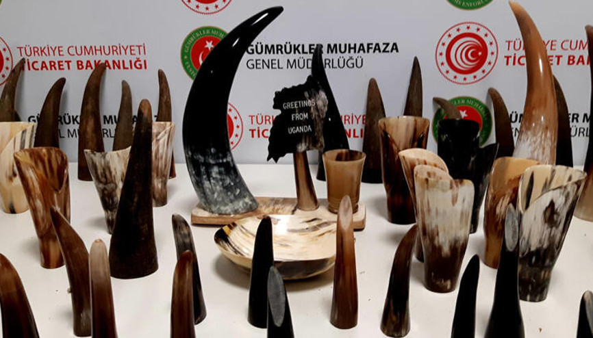 İstanbul Havalimanında bufalo boynuzu operasyonu