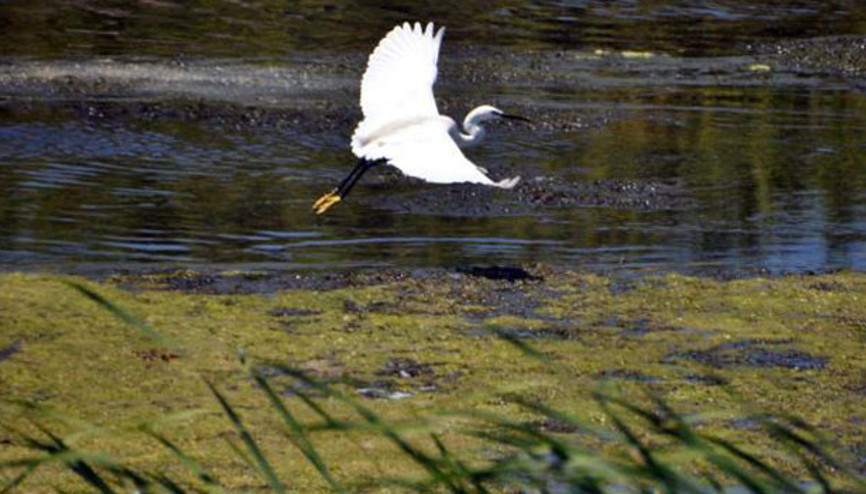 Başvuru kabul edilirse Türkiyeden bu listeye giren ilk doğal miras olacak