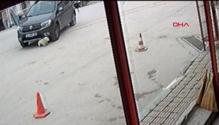 Otomobilin köpeği ezdiği an kamerada