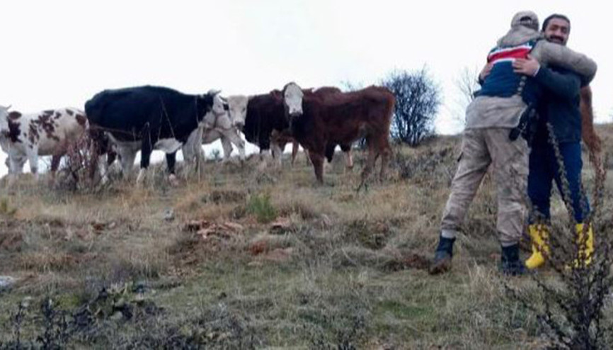 Kayıp hayvanları bulununca jandarmaya sarıldı