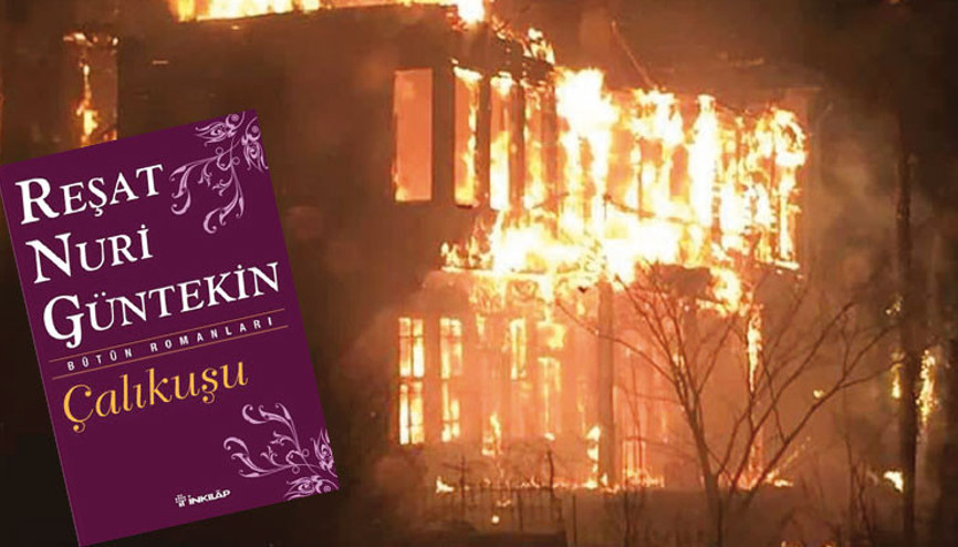 Çalıkuşu ağlıyor Affet bizi Çalıkuşu...