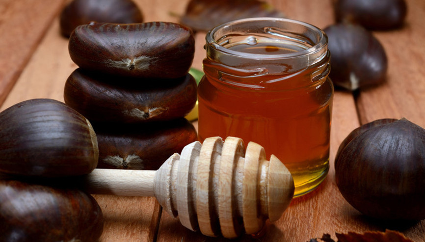 Şifa deposu Kestane balı neye iyi gelir
