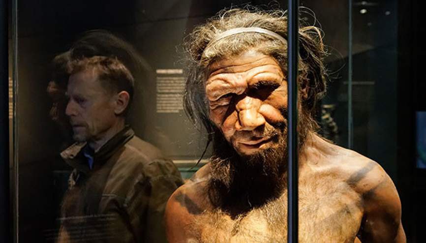 Neandertaller yüzebiliyor ve dalabiliyordu Neandertaller yüzebiliyor ve dalabiliyordu