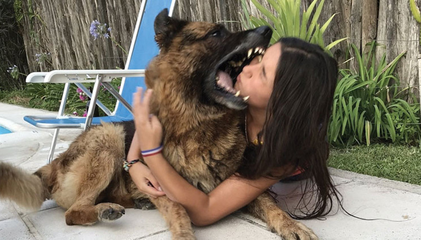 Köpekle selfie çekecekti, hayatının şokunu yaşadı İşte son hali...