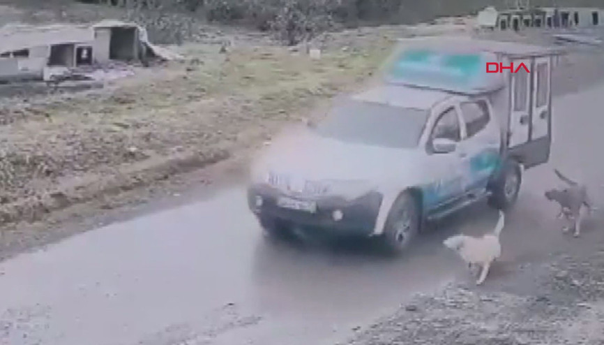 Sosyal medyada tepki yağmıştı... O belediye çalışanı işten çıkarıldı