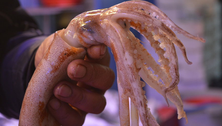 Sadece bilenler alıyor Kilosu 90 liradan satılıyor Sadece bilenler alıyor Kilosu 90 liradan satılıyor