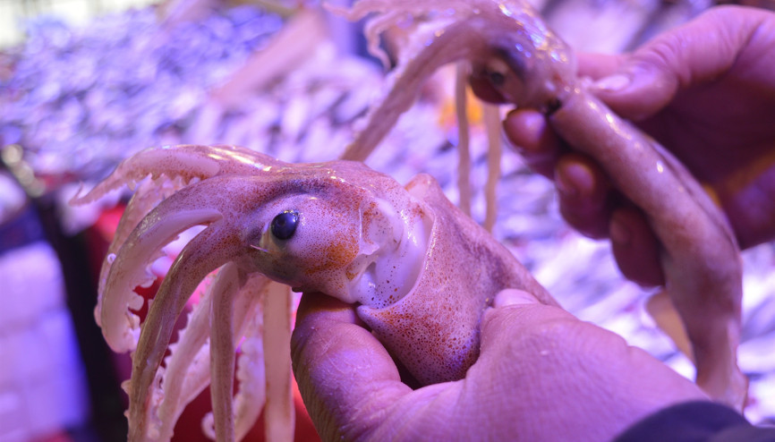 Sadece bilenler alıyor, bilmeyenler nefis bir lezzeti kaçırıyor Sadece bilenler alıyor, bilmeyenler nefis bir lezzeti kaçırıyor