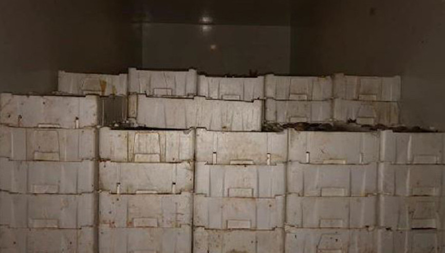 Kaçak avlanan 2 ton balığa 10 bin lira ceza