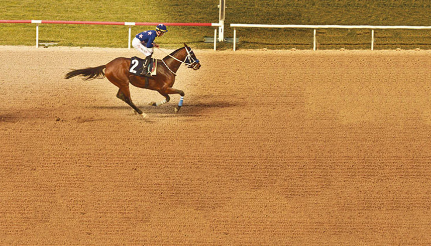 ‘Hasfırtına’nın sırrı