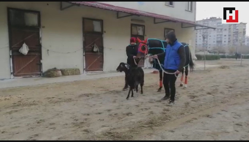 ‘Hasfırtına’nın sırrı