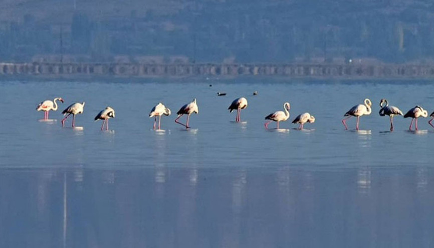 Acıgöl kendine hayran bırakıyor