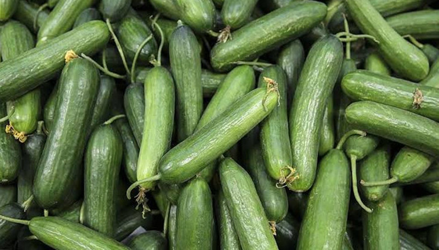 Ocakta en fazla salatalık fiyatı arttı