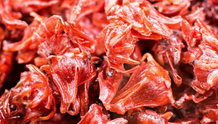 Hibiskus çayının faydaları nelerdir Hibiskus çayının faydaları nelerdir