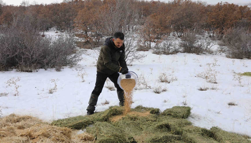 Bakan Pakdemirli, doğa ve yaban hayatıyla iç içe bir gün geçirdi