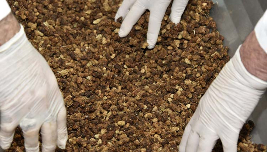 Kendi ürettiği organik balı pestil yapımında kullanıyor