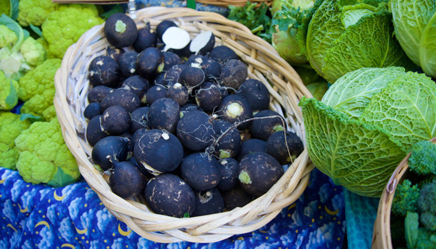 Bu besinler mutfağınızda olsun… Hepsi doğal antibiyotik