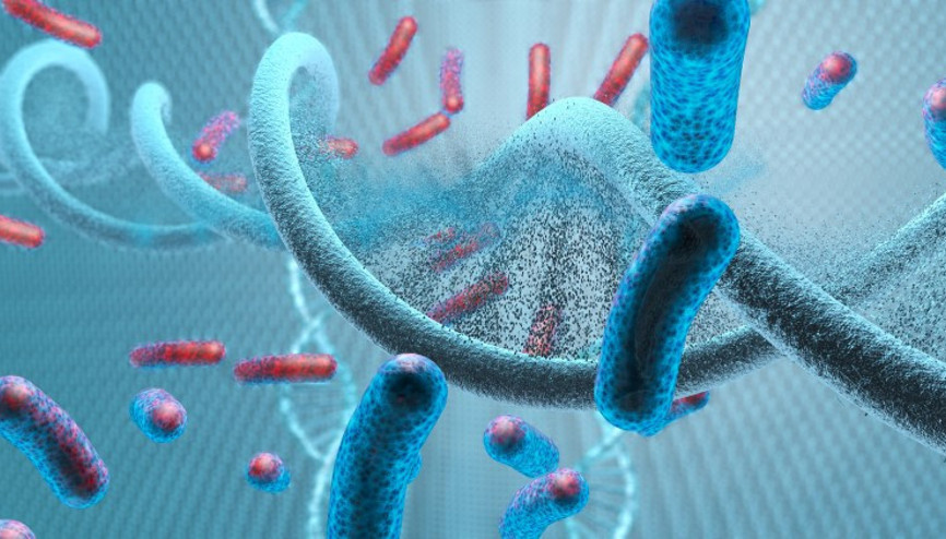 Uzun Boylular Neden Daha Çok Kanser Oluyor Uzun Boylular Neden Daha Çok Kanser Oluyor