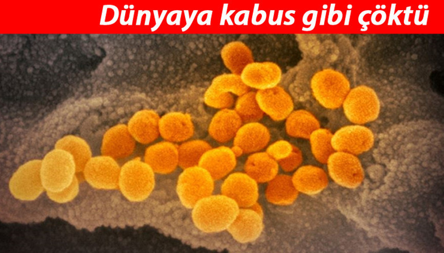 Son dakika haberi: İşte Covid-19’un (koronavirüs) fotoğrafları