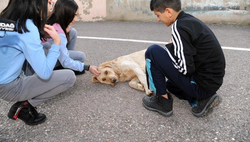 Çocuklar Max’i  çok sevdi