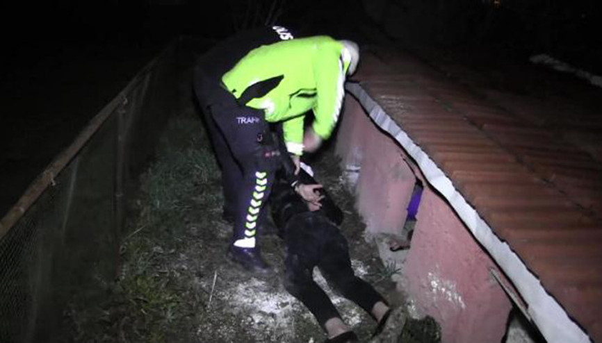 Polisi görünce kaçan sürücü, saklandığı kümeste yakalandı
