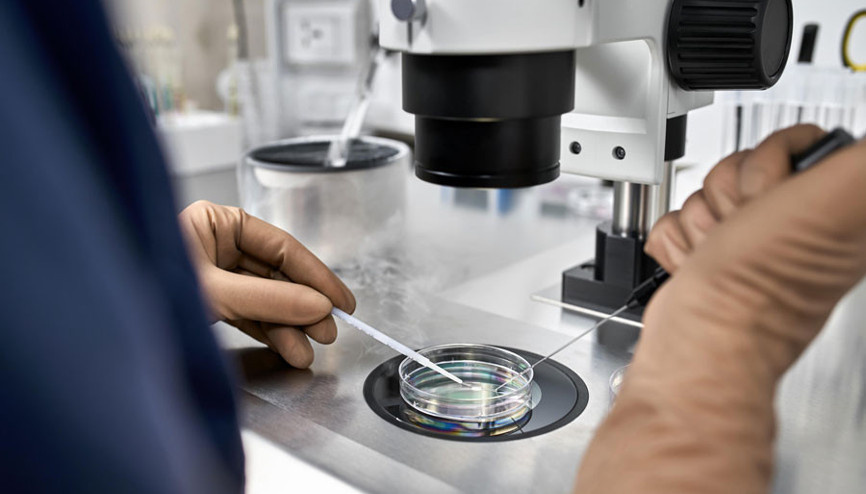 Bu yöntem sayesinde dilediğiniz zaman hamile kalabilirsiniz