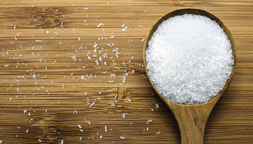 Meclis Çin tuzu yasağında birleşti