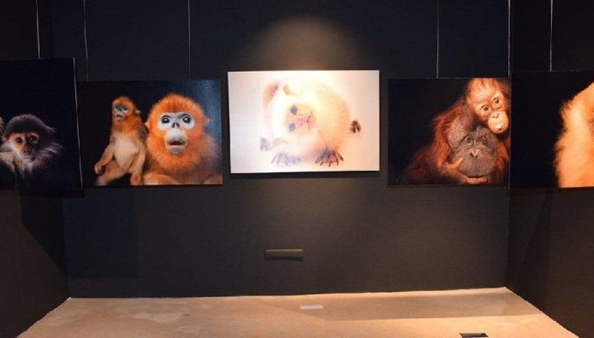 Photo Ark ilk kez Türkiyede