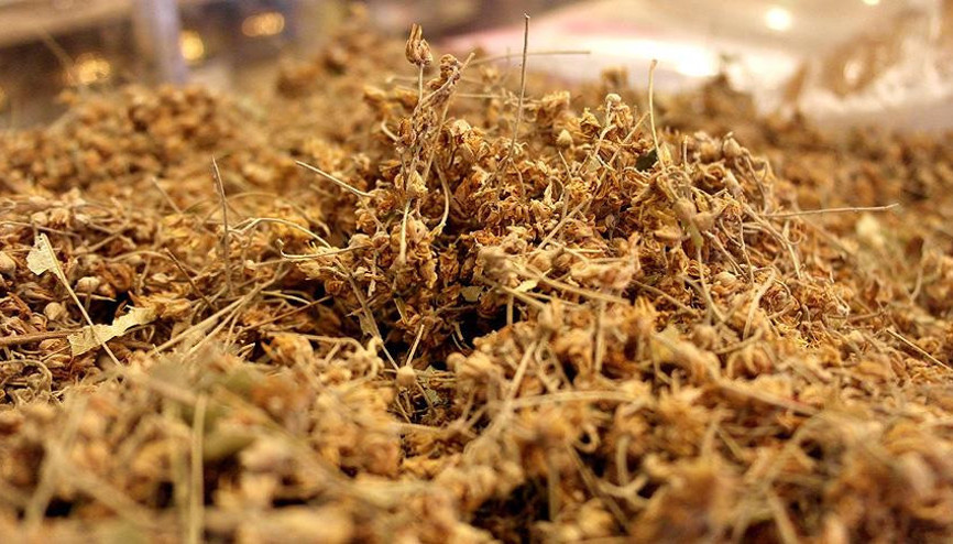 Ihlamurun faydaları nelerdir Ihlamur çayı neye iyi gelir Ihlamurun faydaları nelerdir Ihlamur çayı neye iyi gelir