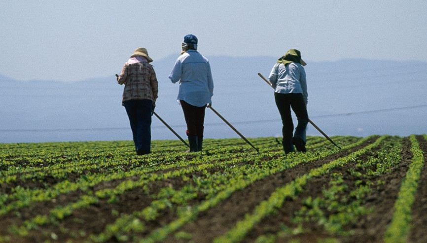 15 projeye hibe desteği