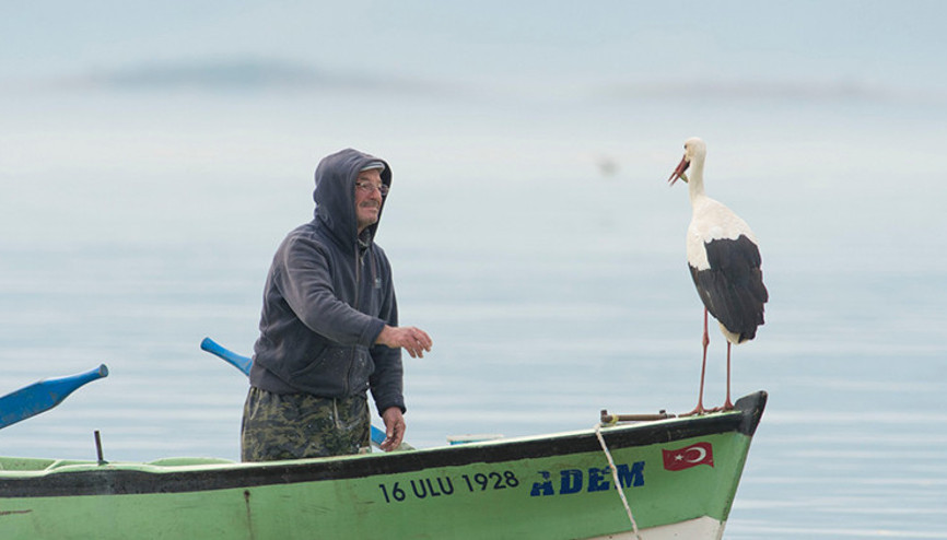 Adem Amca ile Yaren leylek yeniden buluştu