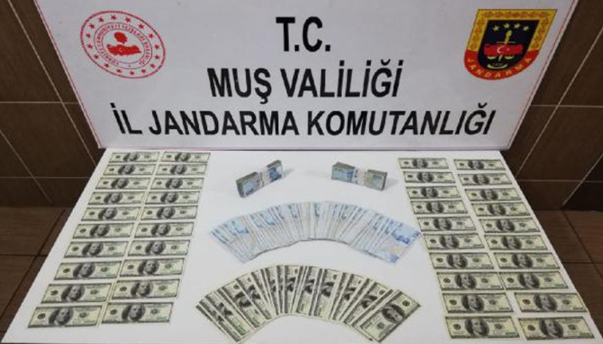 Muş’ta 9 bin 700 adet sahte 100 dolar ele geçirildi