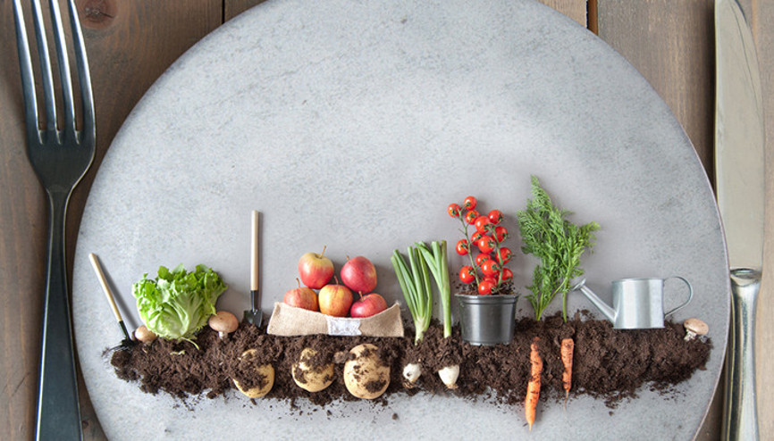 Koronavirüs Vegan Olmamamızdan mı Başımıza Geldi