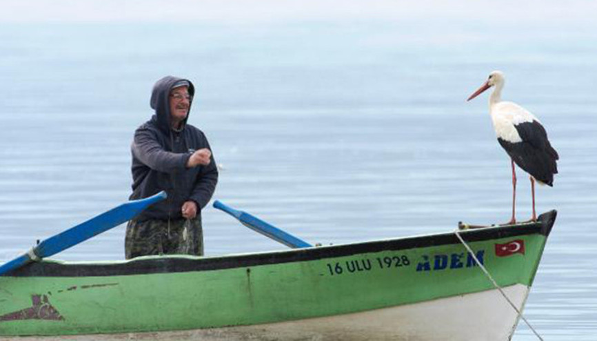 Adem amcanın dostu leylek, 24 saat kamera ile izlenebilecek