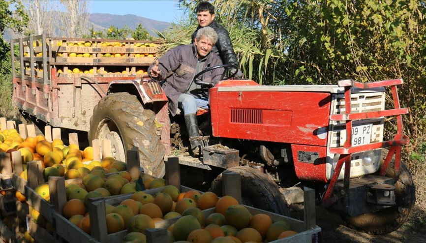 Yılda 300 ton portakal kabuğunu ekonomiye kazandırıyorlar