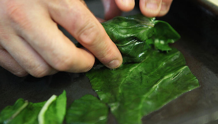 Bol vitaminli, hastalık düşmanı zeytinyağlı zılk sarması Bol vitaminli, hastalık düşmanı zeytinyağlı zılk sarması