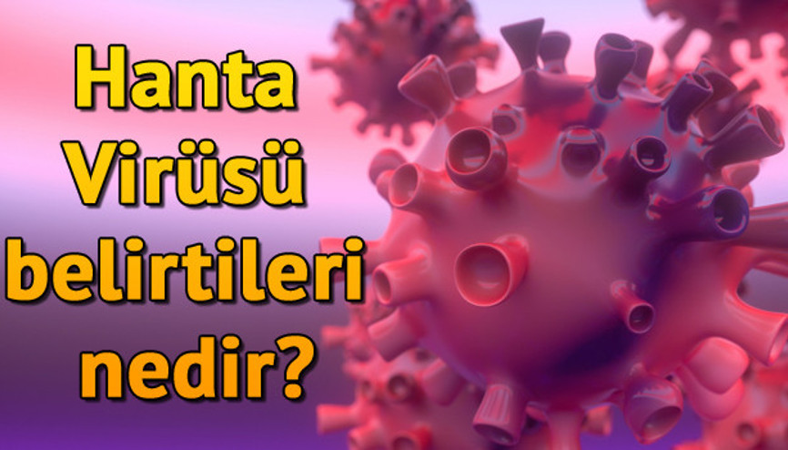 Hanta virüsü nasıl bulaşır Hanta virüsü belirtileri nedir ve nasıl anlaşılır