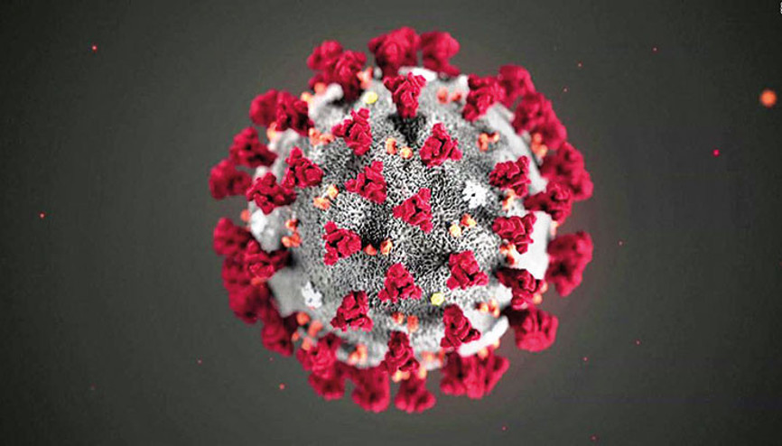 Bunlar da corona avcıları