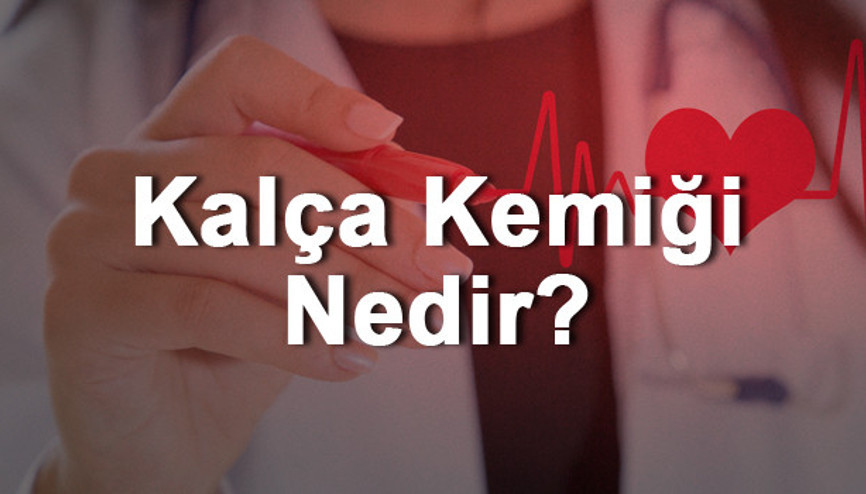 Kalça Kemiği Nedir Nerededir Kalça Kemiği Ağrısı, Kırığı Ve Tedavisi