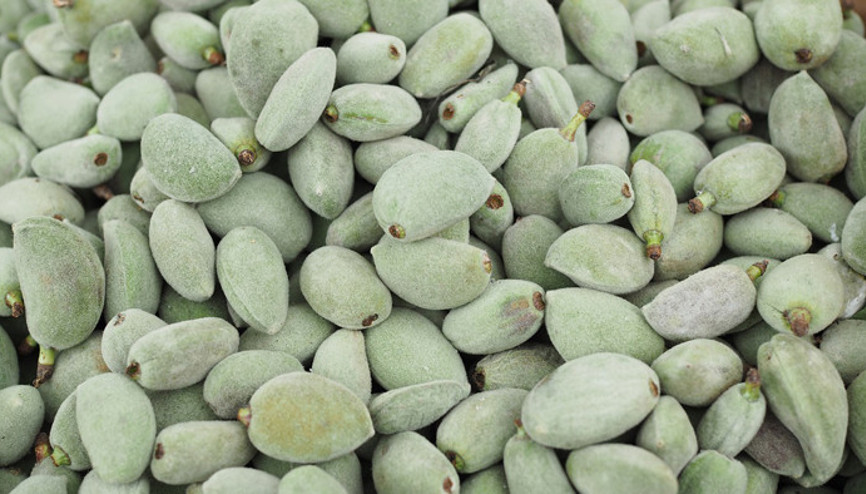 Baharın müjdecisi çağla bakın nelere iyi geliyor