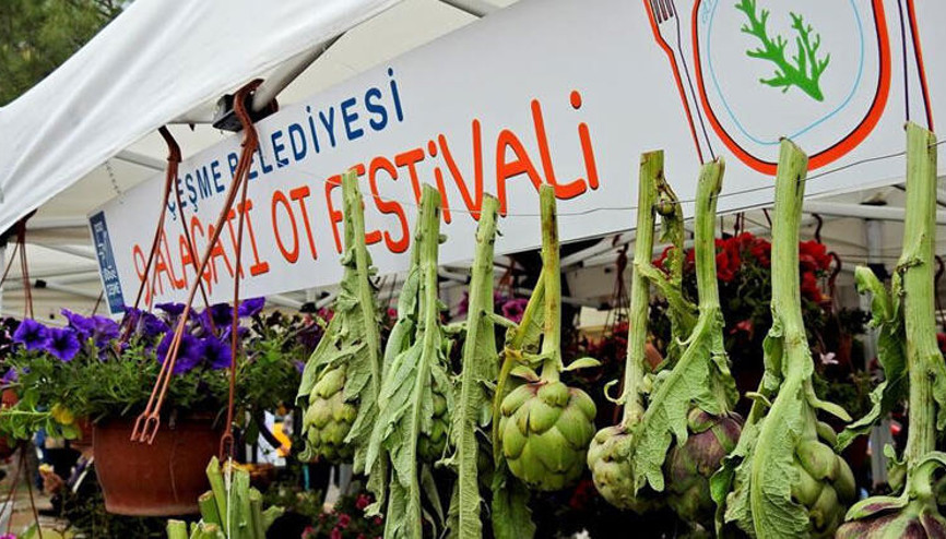 Alaçatı Ot Festivali bu yıl evden yapılacak