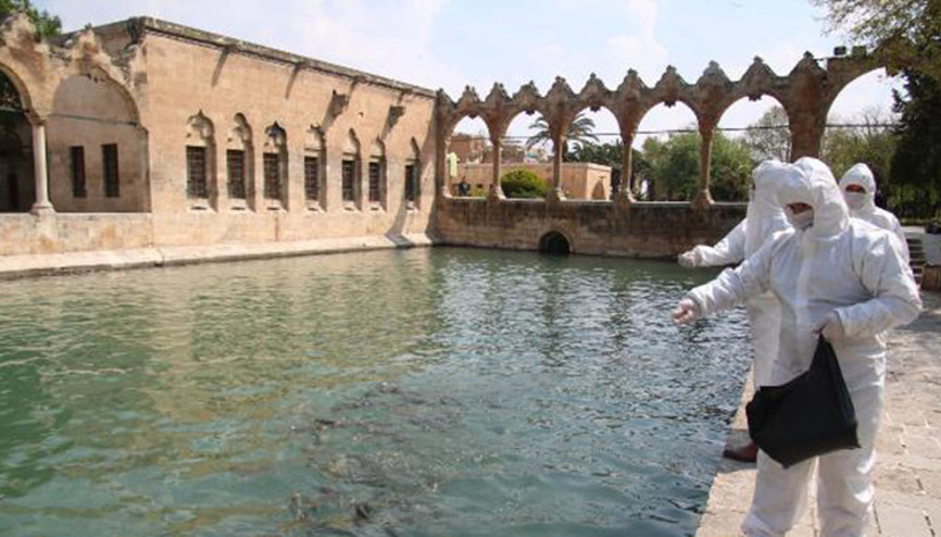 Balıklıgöldeki balık ve kuşlara yem verildi