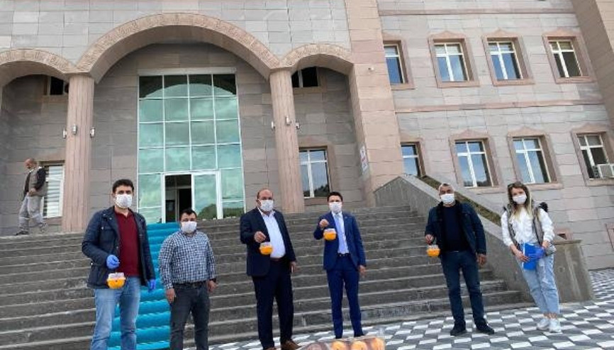 Ulukışlada Akdeniz Meyve Sineği mücadelesi