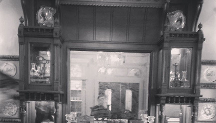 Bir kuşun kendi cinsinden olmayanla uçma hikayesi