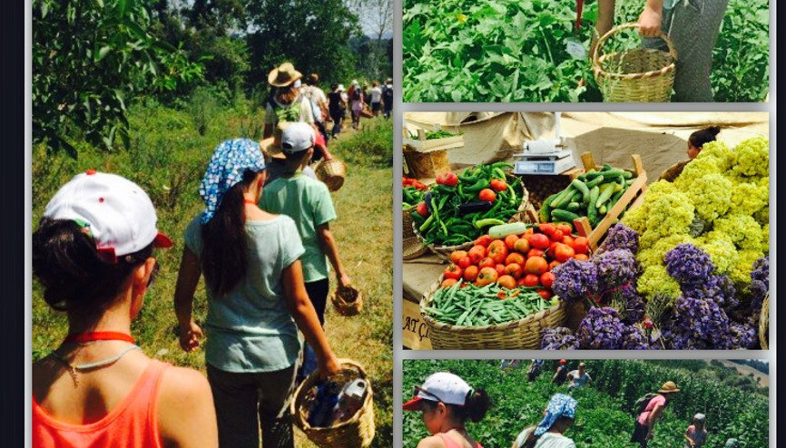Arada bir dopdoğal hayata tanıklık etmek lazım
