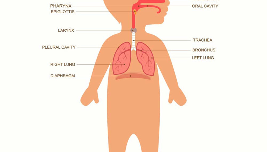 Çocukların burnundaki yaz mucizesini kışa taşımak hayal değil