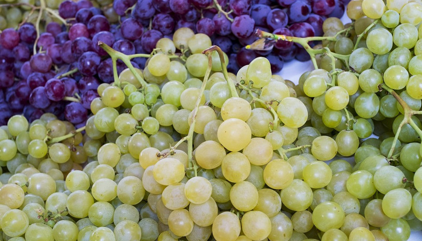 Tatlı mı tatlı yaz meyvesi:Üzüm