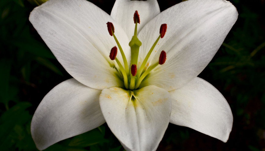 Yorgun ayaklarınıza nasıl bakım yapmalısınız