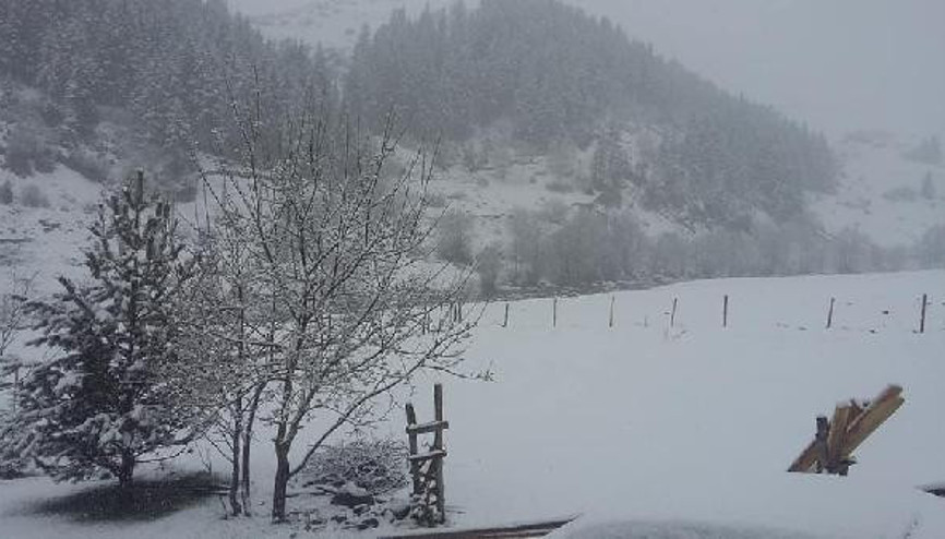 Ordunun yükseklerine kar yağdı Ordunun yükseklerine kar yağdı