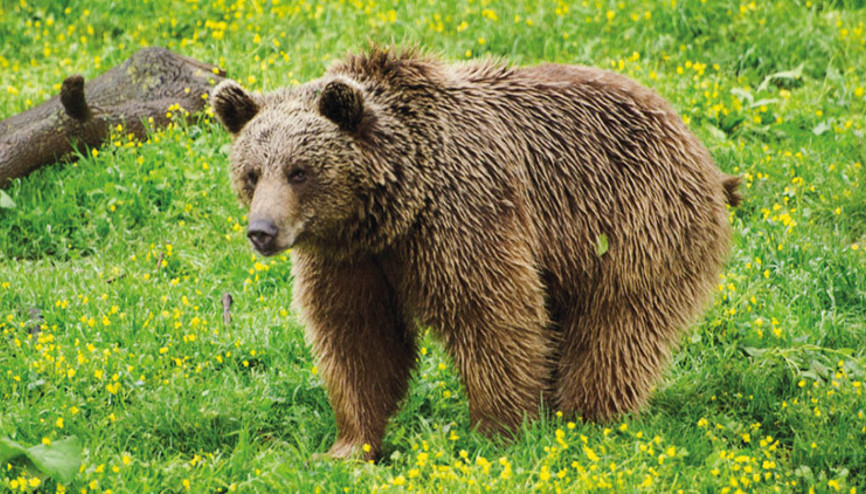 Arkanıza yaslanın, keşfe çıkıyoruz