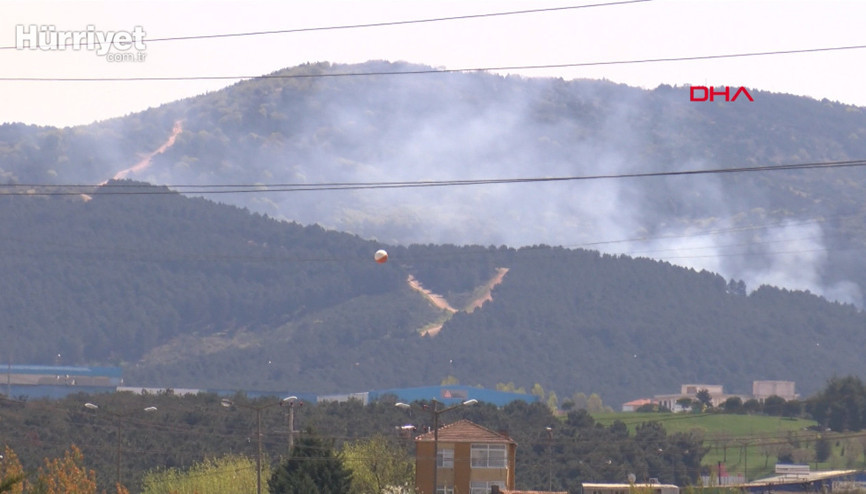 Kartal Aydosta bulunan ormanlık alanda yangın çıktı